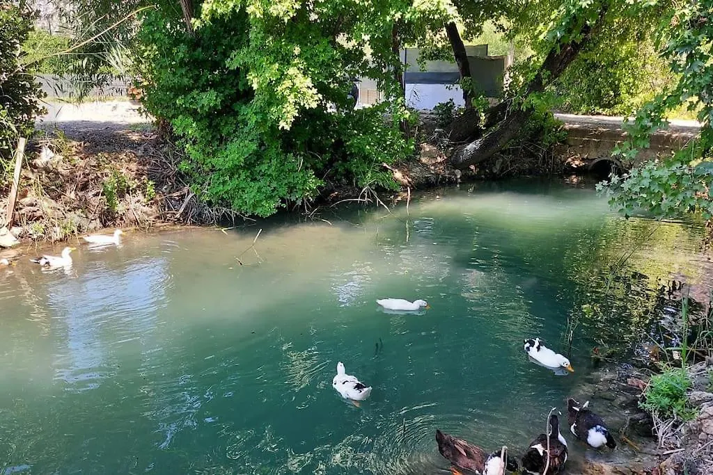 Villa Chatterforest Dalyan Ortaca  0*, Ortaca (Mugla) Turchia